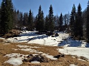 Cima Cornetti (1550 m) ad anello da Cornalba (Sentiero Partigiano)-24mar22-FOTOGALLERY